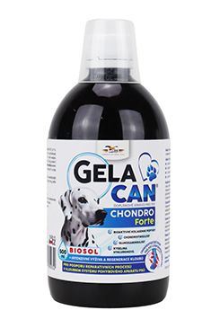 Orling Chondrocan Forte Biosol 500ml