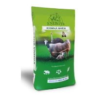 Krmivo pro pštrosy ENERGYS Maxi 25kg