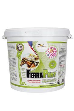 Ferrapony Dynamic 10kg