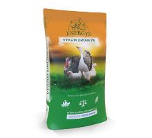 Krmivo pro krůty ENERGYS Maxi 25kg