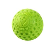 Hračka pes BALL MINI plov. z TPR zelená Kiwi