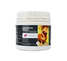 Roboran Chondro pro psy 200g