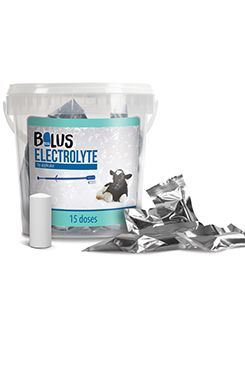 Bolus Electrolyte (BY APLICATOR) 15x13g