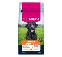 Eukanuba Dog Junior Large rich in fresh Chicken 15kg