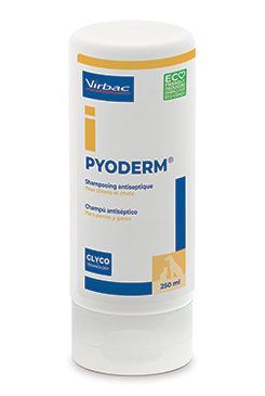 Pyoderm šampon 250ml