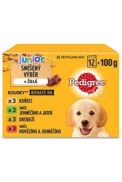Pedigree kapsa Junior mas.výběr s rýží v želé 12x100g