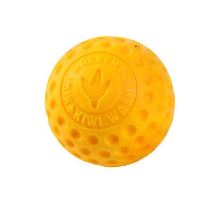 Hračka pes BALL MINI plov. z TPR oranžová Kiwi