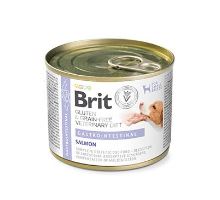 Brit VD Dog GF konz Gastrointestinal 200g
