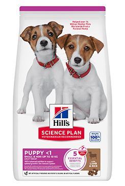 Hills Science Plan Canine Puppy Small&Mini Lamb&Rice 6kg