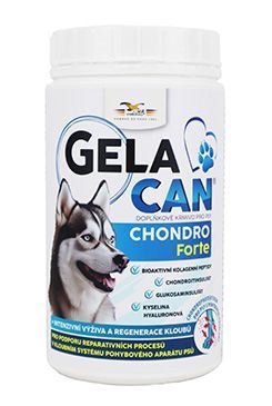 Orling Gelacan Chondro Forte 500g